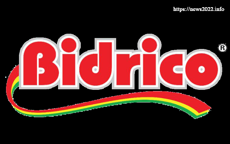 Bidrico Logo PNG